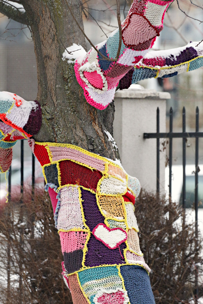 Knitting on the Tree by gq