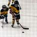 Hockey Starts Young in Canada by farmreporter