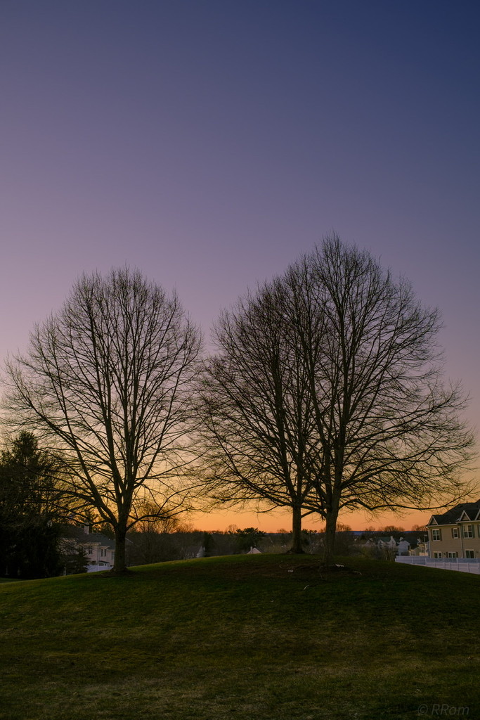 Sunset By The Trees by ramr