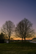 13th Mar 2021 - Sunset By The Trees