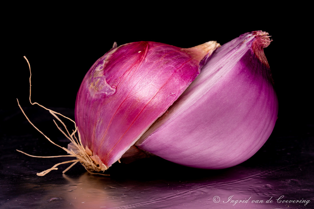 Red onion?! by ingrid01