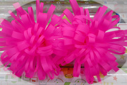 14th Mar 2021 - Pink bows