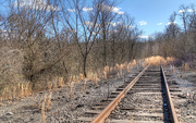14th Mar 2021 - Railroad tracks