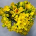 Dafs for Mother's Day by billyboy