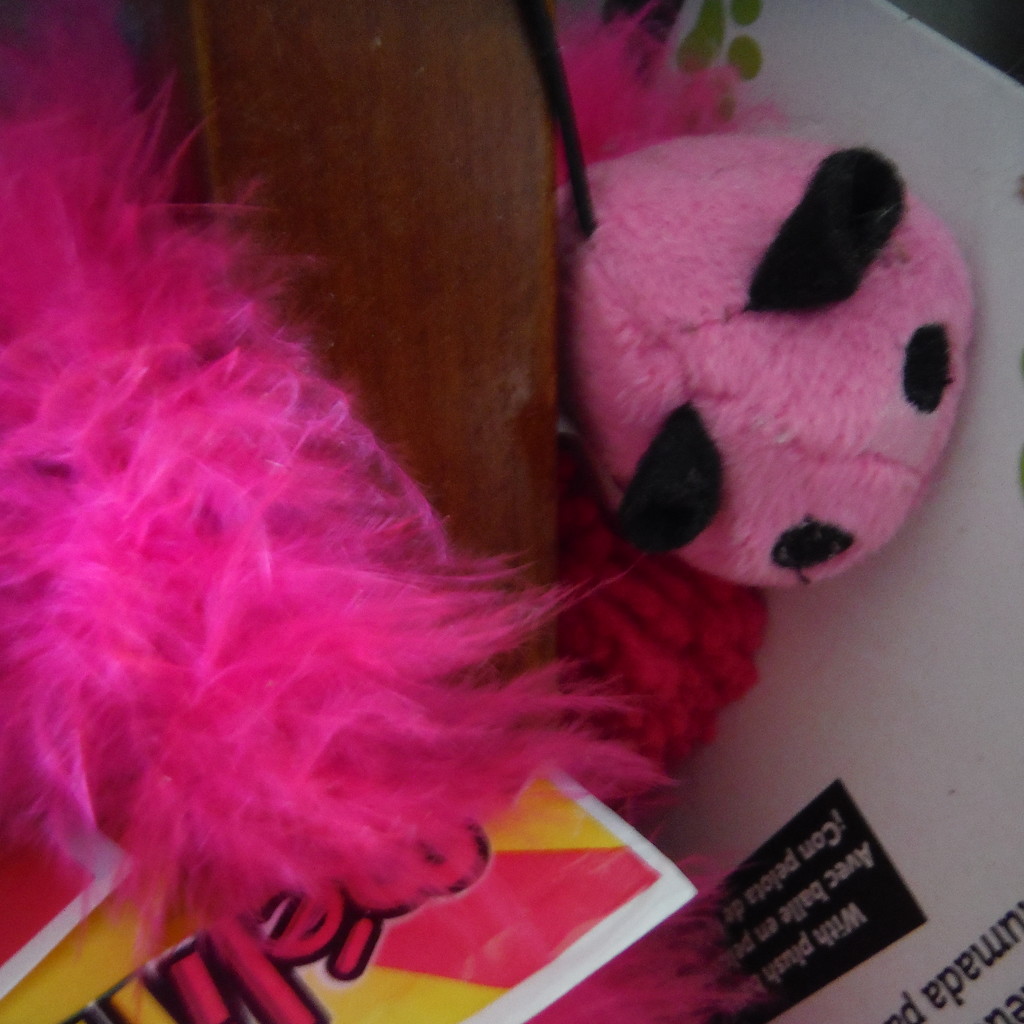 (Another) Pink Cat Toy by spanishliz