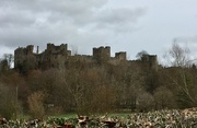 14th Mar 2021 - Ludlow Castle 