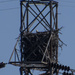 Urban Eagle's Nest II by timerskine