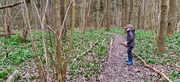 13th Mar 2021 - Walking in the green forest