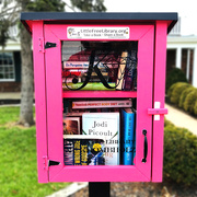 14th Mar 2021 - The Little Free Library