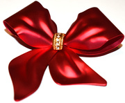 15th Mar 2021 - Red bow
