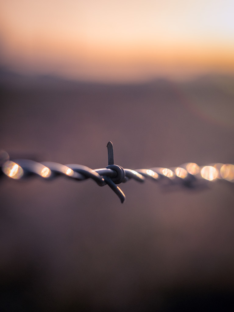 Barbed Wire by rosiekerr
