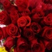 You can’t go wrong with red roses  by louannwarren