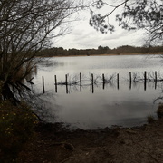 15th Mar 2021 - Frensham pond