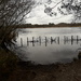 Frensham pond by carleenparker