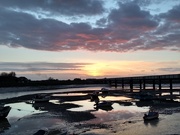 15th Mar 2021 - River Reflections