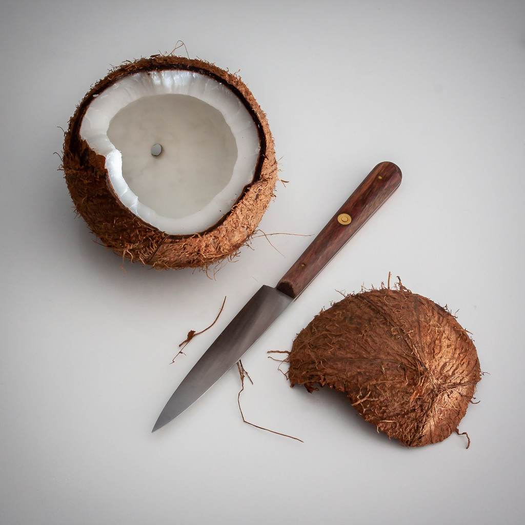 An attempt with a coconut  by pingu