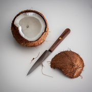 15th Mar 2021 - An attempt with a coconut 