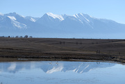 14th Mar 2021 - Mission Mountain Reflections