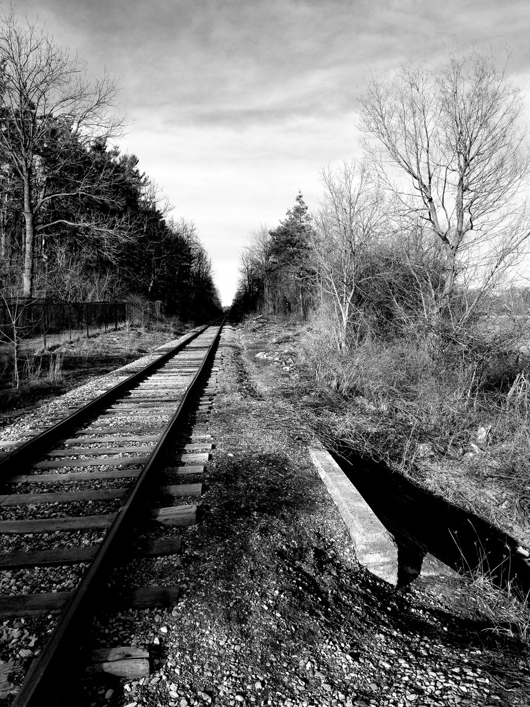 Lonesome railway by ljmanning