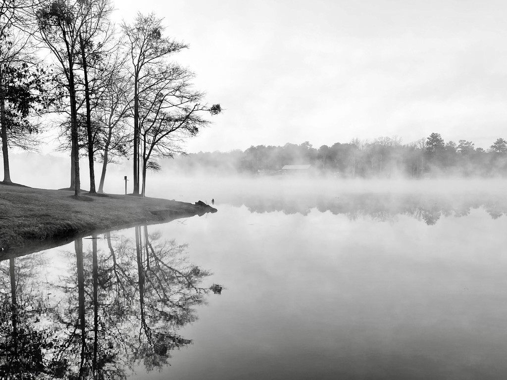Fog and reflections on the lake.  by clayt