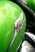16th Mar 2011 - Lime Rider