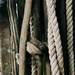 Rope by sandradavies