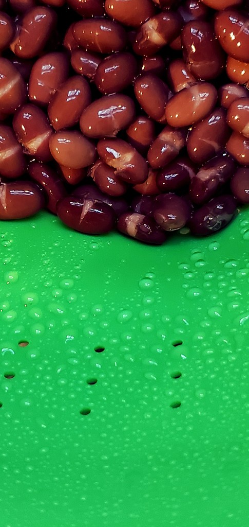 Rinsing Black Beans  by skipt07
