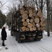 Logging by sunnygreenwood