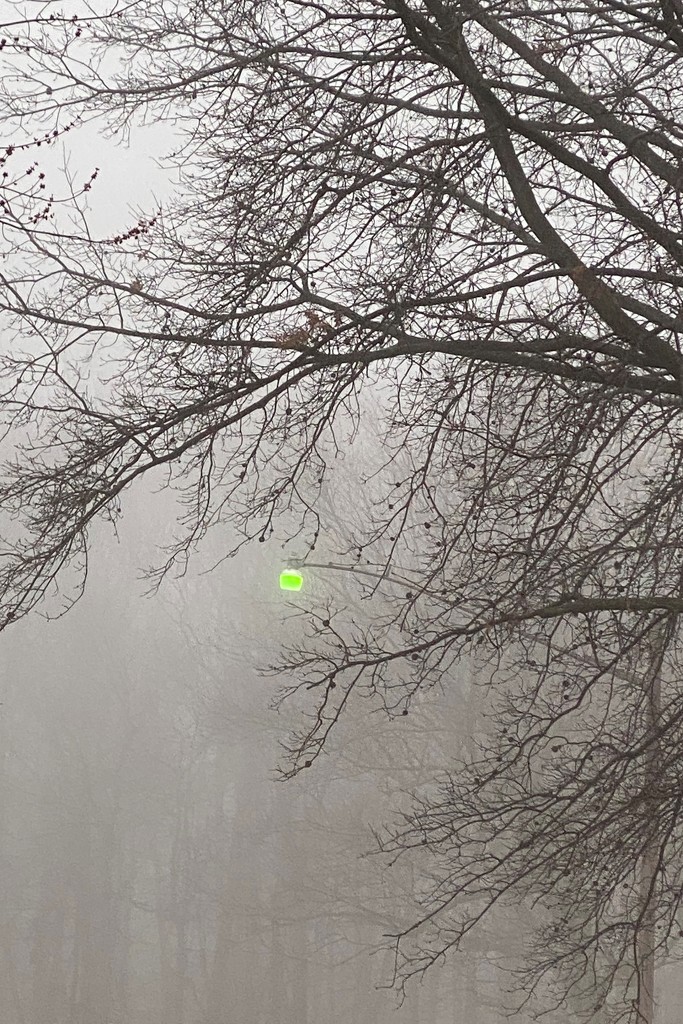Streetlight in the fog by tunia
