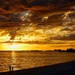 The Golden Glow Of Tonight's Sunset DSC_5752 by merrelyn