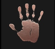 14th Mar 2021 - The Human Hand 