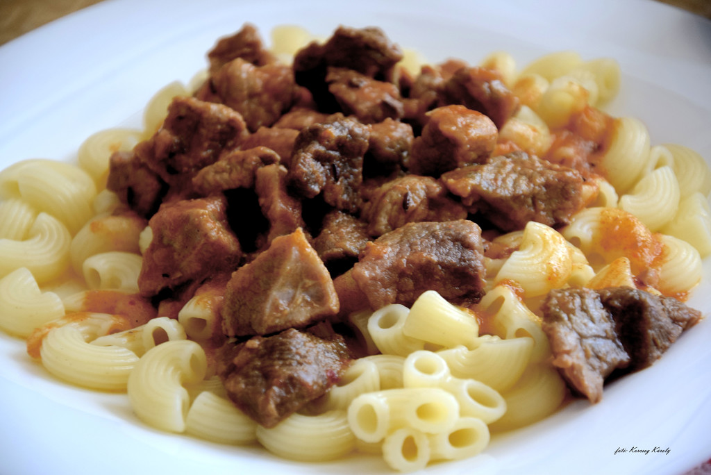 Pork stew with pasta by kork