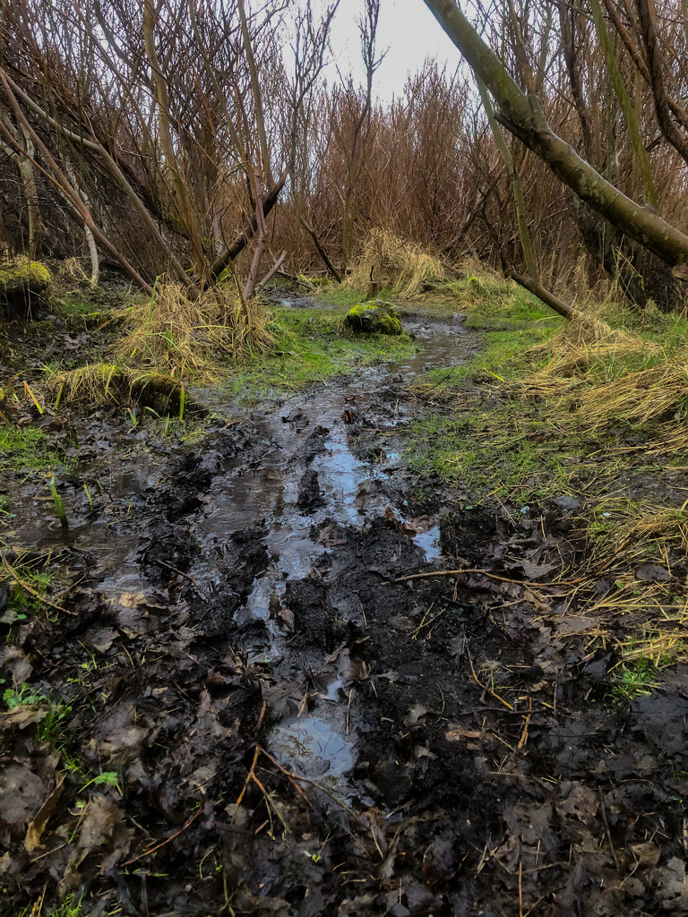 Muddy Track by lifeat60degrees