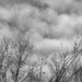 Cloud drama on a windy day... by marlboromaam