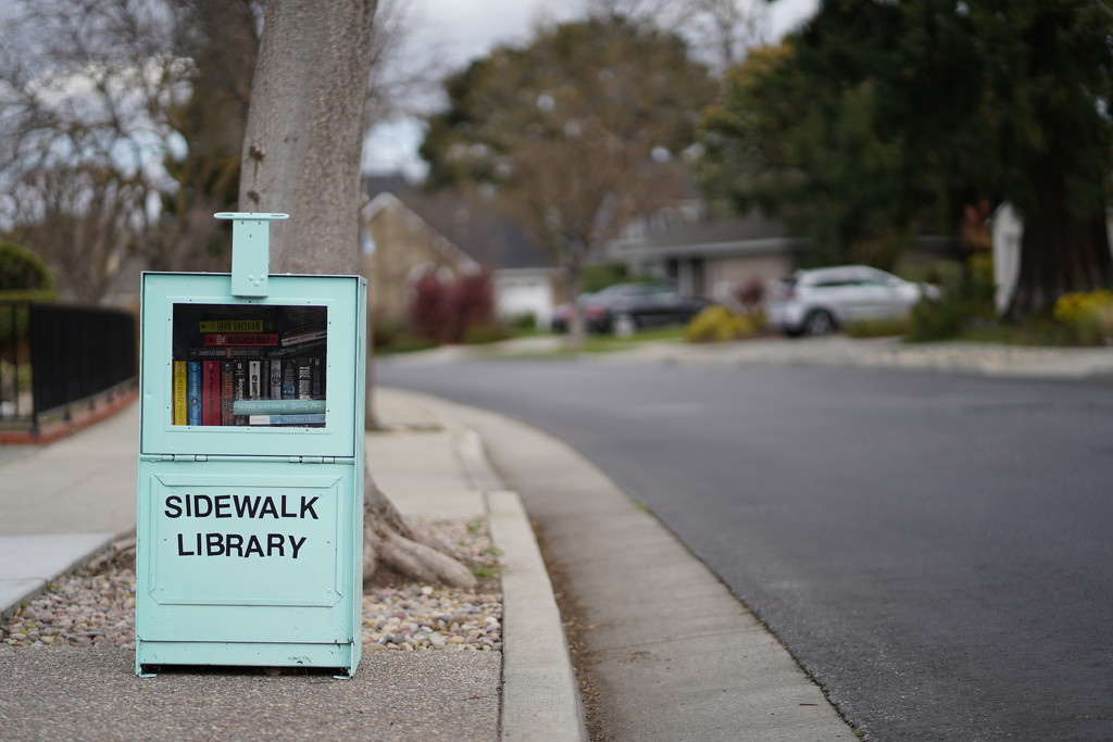Sidewalk library by acolyte