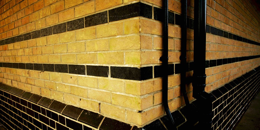 Yellow bricks  by moonbi