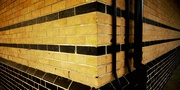 17th Mar 2021 - Yellow bricks 