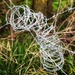 Barbed wire by tinley23