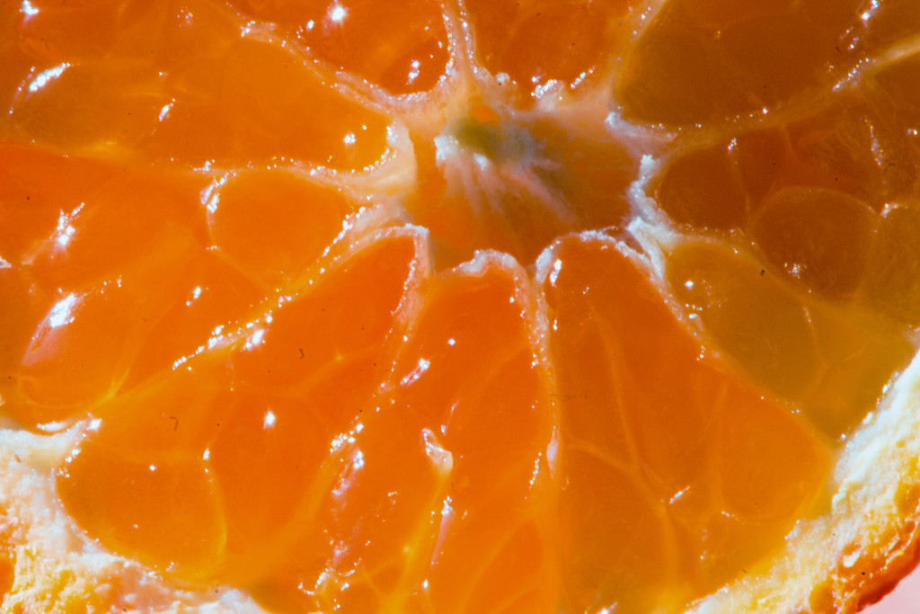 March Words - Slice of Orange by farmreporter