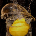 splash lemon 4 by elza