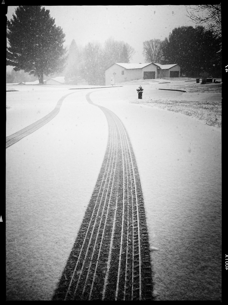 Snow tracks by jeffjones