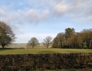 16th Mar 2021 - A view from today's walk