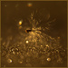 Thistledown by dide