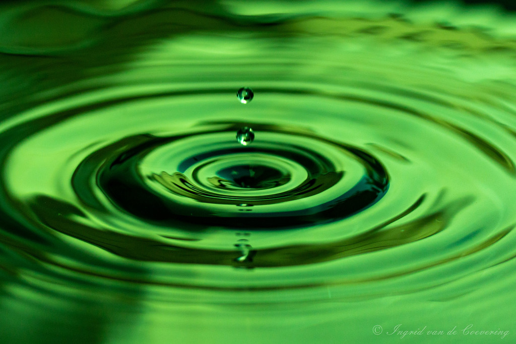 Drip drop - green by ingrid01
