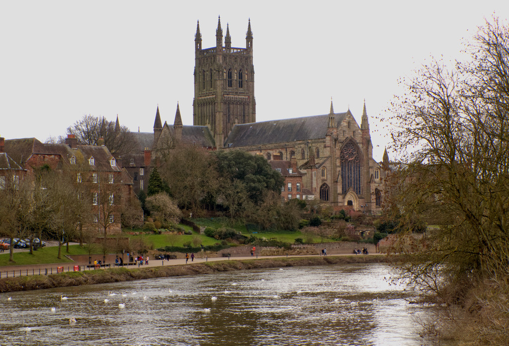 Worcester Cathedral by 365projectorglisa