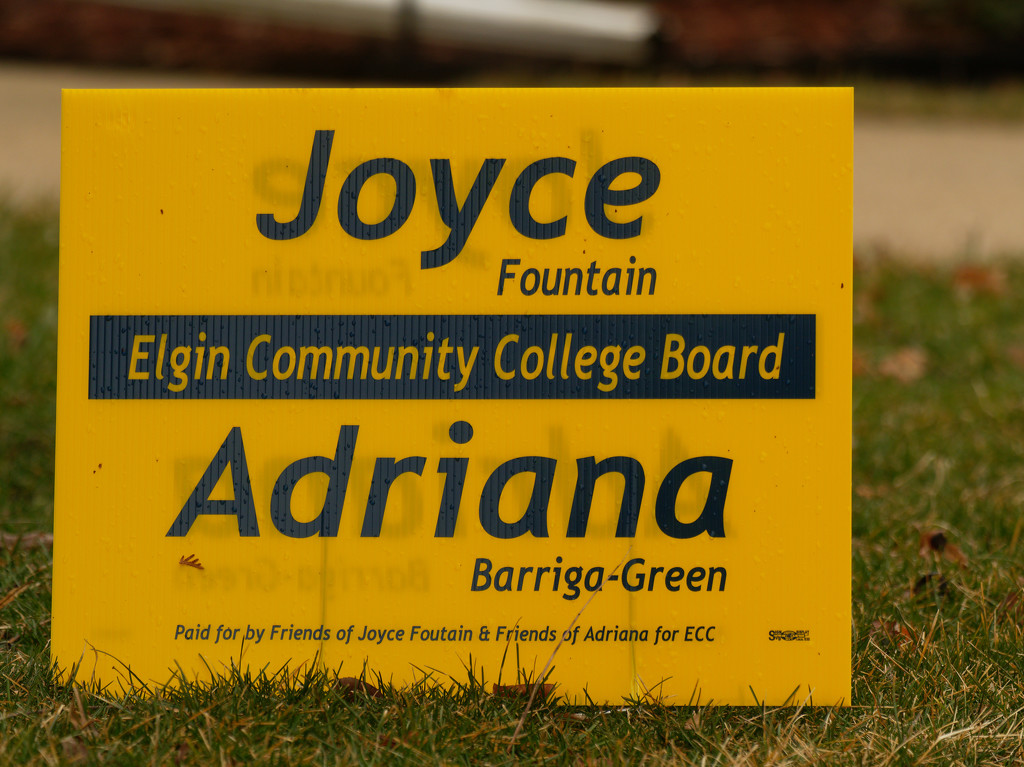 Yard sign by rminer