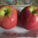Two Pink Lady apples. by grace55