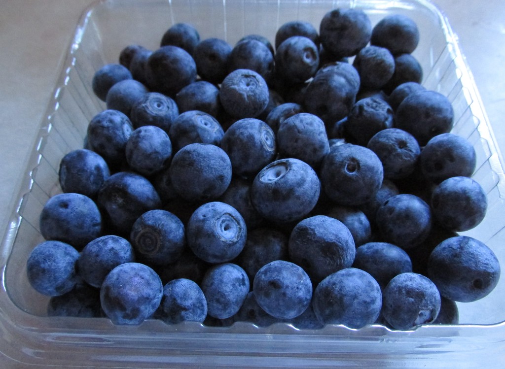 Blue blueberries by mittens
