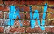 19th Mar 2021 - Blue bricks Graffiti 