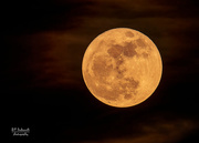 19th Mar 2021 - Full moon on an overcast night